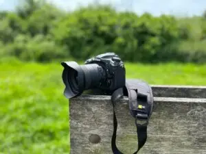 Nikon D500